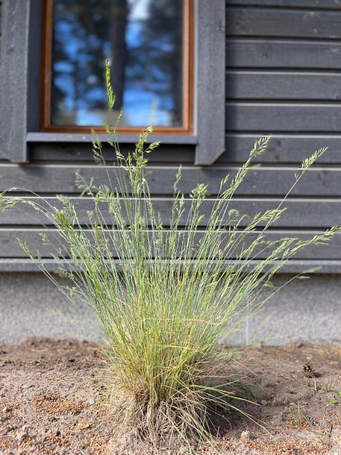 Villa Maennituka Suvetuba Kirikukula  Esterno foto